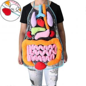 Anatomie Tablier Corps humain Organes Sensibilisation Perspectives &eacute;ducatives Enfants Toy_om - Neuf