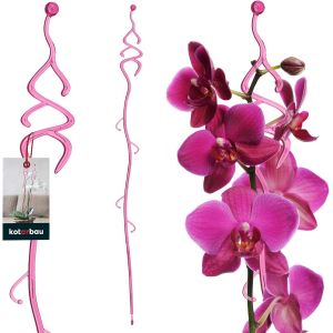 Poteau de Support de Fleurs 55 cm|Support de Plantes en Pot en Lastique Rose Sapin|Baton Support Fleurs - Neuf