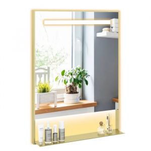 COSTWAY Miroir LED Salle de Bain 80 x 60 cm avec &Eacute;tag&egrave;re, 3 Couleurs de Lumi&egrave;re, Luminosit&eacute; Ajustable, pour Chambre Entr&eacute;e - Neuf