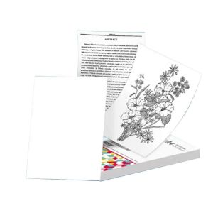 100 feuilles pour papier thermique A4 M08F Imprimante Papier thermique continu &agrave; s&eacute;chage rapide Documents Note d'&eacute;tude - Neuf