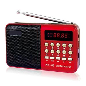 Multifonction Radio FM numérique Haut-parleur multimédia Lecteur de musique MP3 - Neuf