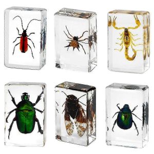 Kit de collection d'insectes en r&eacute;sine pour enfants, 6 pi&egrave;ces, presse-papiers - Neuf