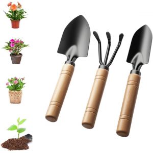 KALANKA-Lot de 3 mini outils de jardinage - Avec manche en bois - Petite pelle pratique - Pour bonsa&iuml; - Plante - Fleurs en pot - Sol en vrac - Neuf
