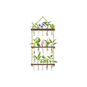 Support mural &agrave; 3 niveaux pour la propagation des plantes, avec tubes en verre et supports en bois, id&eacute;al pour la d&eacute;coration de la maison ou du bureau. - Neuf