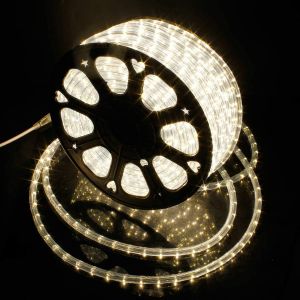 LED Tube Lumineux 30 Mètres 366 LED Guirlande Lumineuse IP65 Tube, Led Tubes lumineux Extérieur et Intérieure pour Jardin, Tuyau Bande Décoration Fête/Mariage/Noël [Classe énergétique G] - Neuf