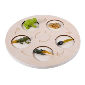 Jouet En Bois Repr&eacute;sentant Le Cycle De Croissance De La Vie, Figurine Animal/Plante, Jouet Assorti, Tangram Pour L'apprentissage Pr&eacute;coce Et L'&eacute;ducation Des Enfants, Fournitures De F&ecirc;te-Grenouille - Neuf