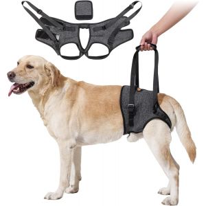 Eryi-Harnais De Soutien Pour Chien Handicapé Et Âgés - Aide À La Marche - Gris - Taille L - Neuf