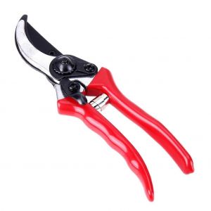 S&eacute;cateur 1 Jeu De Greffage Outil Kit De Lames En Acier Inoxydable, Poign&eacute;es Ergonomiques, Pour Les Arbres Fruitiers, Plantes De Greffage Des Outils - Neuf