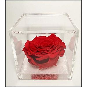 PremiumRose Cube de Rose Rouge Stabilis&eacute; 10cm Vraie Rose &eacute;ternelle | Id&eacute;e Cadeau Maman, Petite Amie, Anniversaire, Remise de Dipl&ocirc;me (Rouge - A 1010) - Neuf