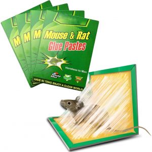 Piege a Souris,Piege a Rat,Colle Souris Piege Attrape Souris Anti Souris Plaques Collantes Souris,Plaques de glu Anti Souris Anti Rat (10pcs) - Neuf