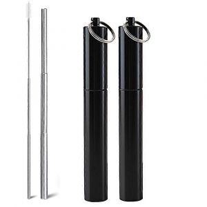 Paquet de 2 pailles en métal réutilisables Paille pliable en acier inoxydable portable - Neuf