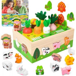 ChenQuanSarl-Montessori Jouet En Bois À Emboîter Carottes À Partir De 1, 2, 3 Ans, Cadeau Pour Fille, Garçon Et Enfant De 1, 2, 3 Ans, Jouet De Motricité À Partir De 1, 2, 3 Ans - Neuf
