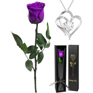 Rose Eternelle Avec Collier Cadeau Femme Noel,Vraie Rose Avec Tige Cadeau Maman Noel, Fleur Préservée En Coffret Cadeau Anniversaire Femme Fleur Eternelle Noel Cadeau Saint-Valentin Femme - Neuf
