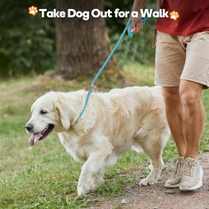 Laisse Dressage Chien Lasso Laisse R&eacute;fl&eacute;chissant Laisse Pour Chiens Petits, Moyens, Grands Et Tr&egrave;s Lourds - 1,4cm De Diam&egrave;tre X 150cm De Longue(Rose) - Neuf