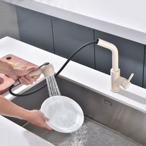 Robinet de cuisine extractible noir, robinet de cuisine avec 2 modes de pulvérisation, robinet de cuisine à poignée unique - Neuf