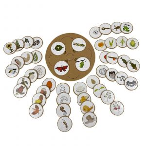 Jeu de correspondance de plateau de cycle, jardini&egrave;re d'animaux, croissance, enfants d'&acirc;ge pr&eacute;scolaire - Neuf