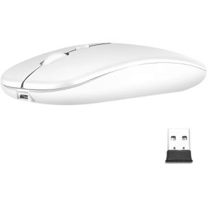 KALANKA-Souris sans Fil Rechargeable Souris rétroéclairée de 7 Couleurs avec Mini récepteur USB de 2,4 GHz Souris Gaming Compatible avec Ordinateur Portable PC Ordinateur(b) - Neuf