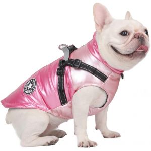 Jgd-Chien Chat Manteaux Vestes Chiens Sous-Ventre Harnais Attach&eacute; Chaud Gilet Hiver R&eacute;fl&eacute;chissant Coton Tenue V&ecirc;tements S&eacute;curit&eacute; Imperm&eacute;able Animaux Pour Petits Moyens Grands Chiens - Neuf