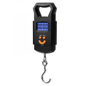 Balance de pêche numérique, mini-balance électronique portable avec écran LCD, pour valise, pour l'extérieur, noire - Neuf