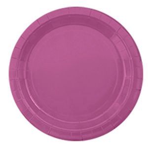 Assiette En Carton Pour G&acirc;teau Aux Fruits,Pique-Nique,Dessert,Assiette De 23 Cm,Raisin Violet - Neuf