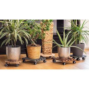 KALANKA-825280 Chariot pour Plantes 300 x 300 mm u2013 Charge maximale 60 kg u2013 Plaque en pin u2013 Naturel u2013 roulettes TPE avec 4 blocages/Rouleau d'intérieur/Support de Transport pour Pl - Neuf