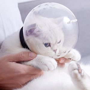 Kal-Couvercle De Protection De Tête De Chaton En Forme De Boule De Chaton En Forme De Boule, Fournitures De Protection Pour Animaux De Compagnie | Anneau De Protection Pour Chats Transparent M - Neuf