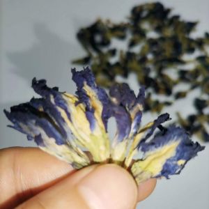 Fleurs De Pois Papillon, 100 % Naturelles Et Pures, &Agrave; Base De Feuilles Enti&egrave;res De Pois Papillon Sauvages, Cueillies &Agrave; L'&eacute;tat Sauvage, Tisane De Fleurs De Pois Papillon En Vrac, Sans Gluten, V&eacute;g&eacute;taliennes - Neuf