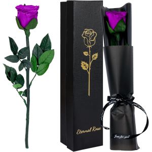 Rose Eternelle Pr&eacute;serv&eacute;e, Cadeau pour Femmes Fleur Violet avec Tige Idee Rosee Cadeau pour Elle Maman Amie &Eacute;pouse S?ur Mamie F&ecirc;te des M&egrave;res Saint Valentin - Neuf