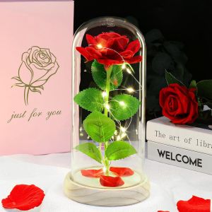 Rose &eacute;ternelle - Cadeau d'anniversaire pour femme, maman, &eacute;pouse, petite amie, rose en cristal galaxie, cadeau lumineux dans un d&ocirc;me en verre pour No&euml;l, anniversaire de mariage, rouge - Neuf