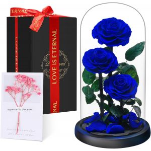 No&euml;l Cadeaux pour Femmes - Rose &Eacute;ternelle sous Cloche, Naturelle Fleur Eternelle Cadeau, Id&eacute;e Boite Rose Eternel, Cadeau pour la Saint-Valentin, Anniversaire, Femme,Copine,Amie,Maman,Grand Mere - Neuf
