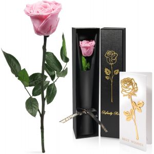 Rose Eternelle Cadeau Femme Noel,Vraie Rose avec Tige Cadeau Anniversaire Femme,Fleur &Eacute;ternelle,Fleur Pr&eacute;serv&eacute;e en Coffret Cadeau Noel Maman Saint-Valentin Femme, Rose Rouge - Neuf