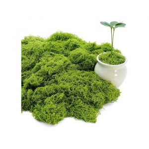 Mousse Artificielle D&eacute;corative 150g Verte R&eacute;aliste Pour Artisanat Mod&eacute;lisme Et Fleuristerie, Nylon Durable Pour Terrarium - Neuf