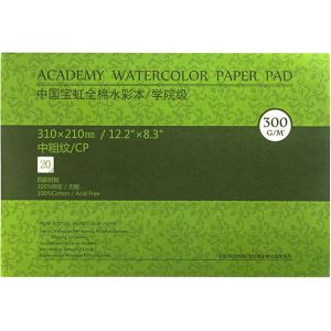 Carnet Aquarelle 18 X 12.5cm : 20 Feuilles De Carnet De Papier Aquarelle 100% Coton - Grain Satiné - 300 Gsm Bloc De Papier Aquarelle Sans Acide Pour Aquarelle Gouache Encre - Neuf