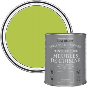 Peinture Verte pour Meubles de Cuisine,Finition Brillante-Citron Vert 750ml - Neuf
