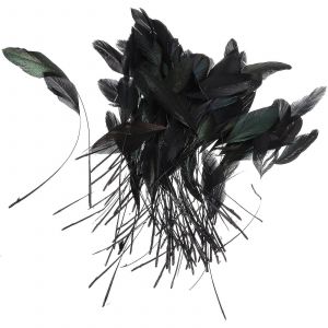 100pcs Artisanat Plumes Plumes Noires Plumes De Poulet Attrape-Rêves Fabrication De Plumes De Fête Props-Hao - Neuf