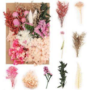 Fleurs Séchées Naturelles, Fleur Pressée, Vraie Fleur Séchée Florales Naturelles, Fleur Sechees Decoration Pour Artisanat Résine, Bricolage, Bougies, Scrapbooking (Boîte En Plastique) - Neuf