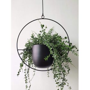 NouvelHorizonstore-Pot de Fleurs Boh&egrave;me en M&eacute;tal Noir &agrave; Suspendre au Mur et au Plafond - Design Moderne du Milieu du Si&egrave;cle, Style Minimaliste pour Int&eacute;rieur et Ext&eacute;rieur - Neuf