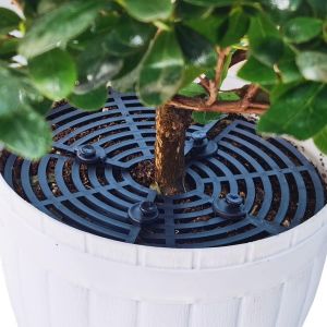 KALANKA-Grille de protection pour pot de fleurs et plantes - Protection contre les animaux et les enfants - Neuf