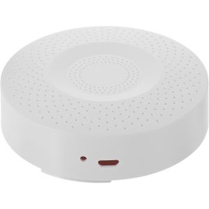 Coffre-Fort D&eacute;tournement Faux D&eacute;tecteur De Fum&eacute;e Bo&icirc;te De Rangement Cach&eacute;e Compartiment Secret pour Cl&eacute;s Argent Bijoux Objets De Valeur - Neuf