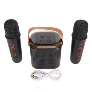 Mini machine de karaoke stereo portable avec lumiere RVB et Bluetooth, avec 2 microphones sans fil, pour soiree a domicile, noir - Neuf