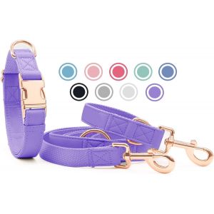 Ensemble Collier Et Laisse Pour Chien En Cuir Souple (2 M) - R&eacute;glable Sur 3 Positions - Avec Collier - Boucle &Eacute;l&eacute;gante En M&eacute;tal Or Rose Et Nylon - Pour Chiots De Petite, Moyenne Et Grande Taille - - Neuf