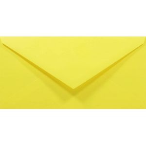 50 enveloppes longues jaunes DL 110x220mm Rainbow 80g rabat pointu collage humide enveloppes colorées enveloppes décoratives pour invitations mariage Noël cartes de voeux anniversaire fêtes - Neuf