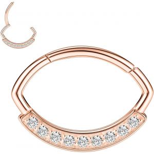Kal-Boucles D'oreilles 16 G En Acier Inoxydable Pour Septum, Daith, Rook, Tragus, Hélix, Cartilage, Lobe Septum, Bijoux Serpent, Pyramide, Flèche, Étoile, Anneau Segmenté À Charnière - Neuf