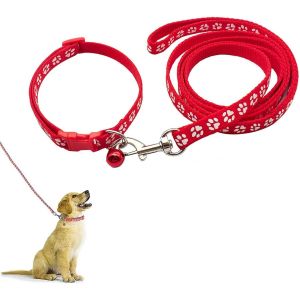 Ensemble Collier Et Laisse Pour Petit Chien, Collier Pour Chien Et Laisse, Colliers Et Laisse R&eacute;glables, Pet Collier Et Laisse, Pour Petits Chiens, Chats - Neuf