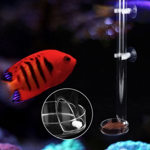 Hjlian Tube D'alimentation En Acrylique Transparent Et Durable Pour Poissons Et Crevettes D'aquarium Avec Plateau (20 Cm) - Neuf