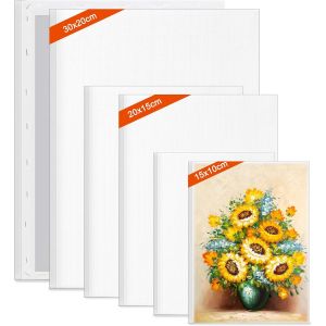 meimie-Toiles À Pein E 6 Pcs Canvas Toile Peinture 30X20 20X15 15X10 Cm,Tableau Peinture Pour Artistes,Coton De Qualité,Sans Acide Pour Peintures Acryliques,Gouache,Enfants,Débutants - Neuf