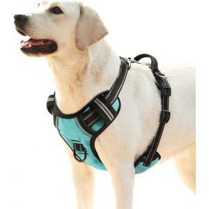 Eryi-Harnais Chien, Harnais Chien Anti Traction, Réfléchissant, Avec Poignée Rembourrée Contrôl, 2 Anneaux Métal, Harnais Pour Petit Moyen Et Grand Chien, Turquoise, L - Neuf
