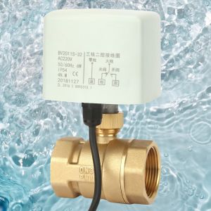 Vanne a boisseau spherique motorisee electrique en laiton, 2 voies, 3 fils, AC220 V, DN32, 1-1/4 po - Neuf