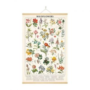 Affiche vintage de fleurs sauvages, impression d'art mural botanique colorée - Neuf