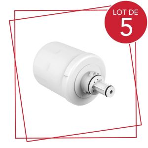 Lot de 5 filtres &agrave; eau AQUAPURE / APP100 R&eacute;frig&eacute;rateur cong&eacute;lateur (484000000513 DA29-00003G SAMSUNG) - Neuf